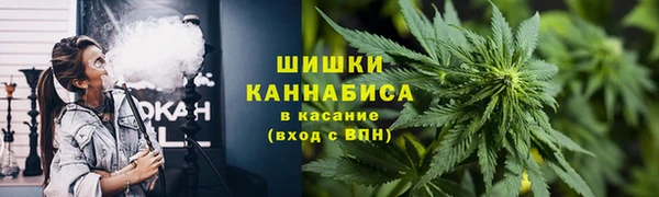 спайс Тавда