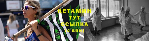 СК Тайга