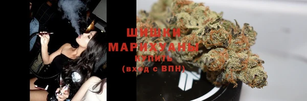 спайс Тавда