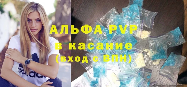 СК Тайга