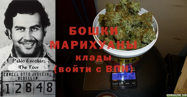 спайс Тавда