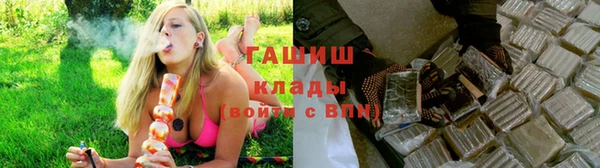 СК Тайга